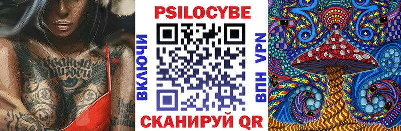Галлюциногенные грибы Psilocybe Буйнакск