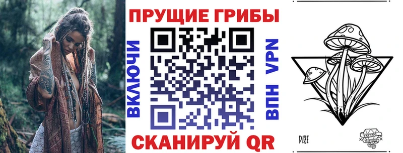 цены наркотик Буйнакск Галлюциногенные грибы Cubensis